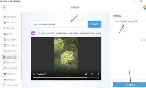 无水印视频下载,轻松获取高清内容的方法