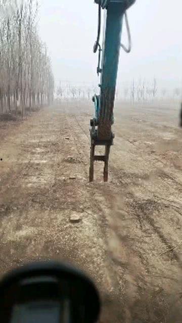 挖树墩视频,挖掘树墩的趣味过程揭秘