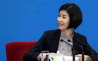 张璐两会翻译视频,语言魅力展现中国声音