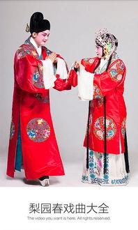 河南戏曲大全视频播放