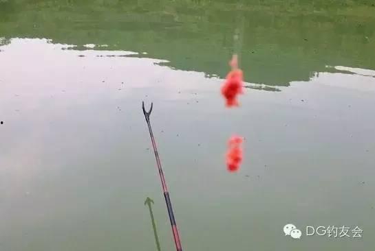 拉钓视频,技巧与心得分享