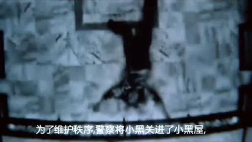 免费人与曽交视频观看