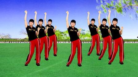 珊瑚颂广场舞视频,舞动青春，绽放活力