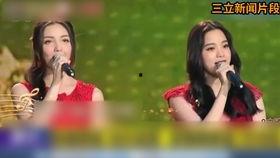 台湾人深圳惊呆视频,繁华都市与家乡差异大揭秘