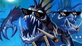 碣石打贼视频,视频记录打贼英勇事迹